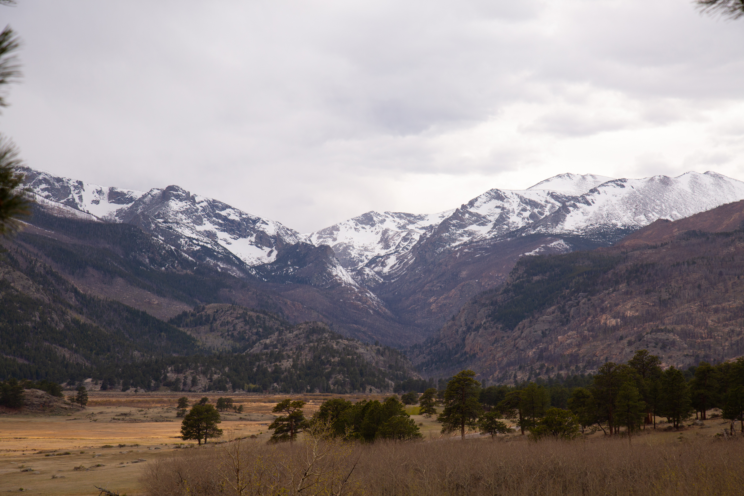 The stunning view at Moraine Park, not far from the designated wedding amphitheater. 